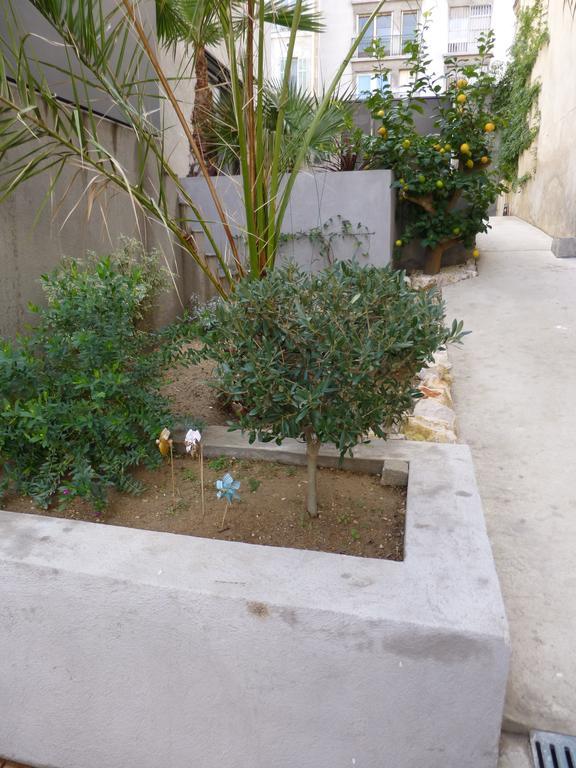 L'Orangeraie Et La Palmeraie D'Endoume Marsilia Exterior foto
