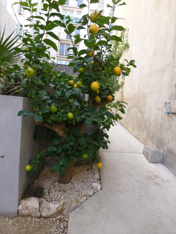 L'Orangeraie Et La Palmeraie D'Endoume Marsilia Exterior foto